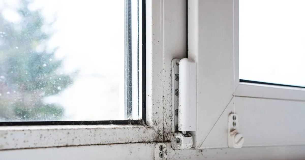 Last van condensatie deze winter? Zo bescherm je je huis