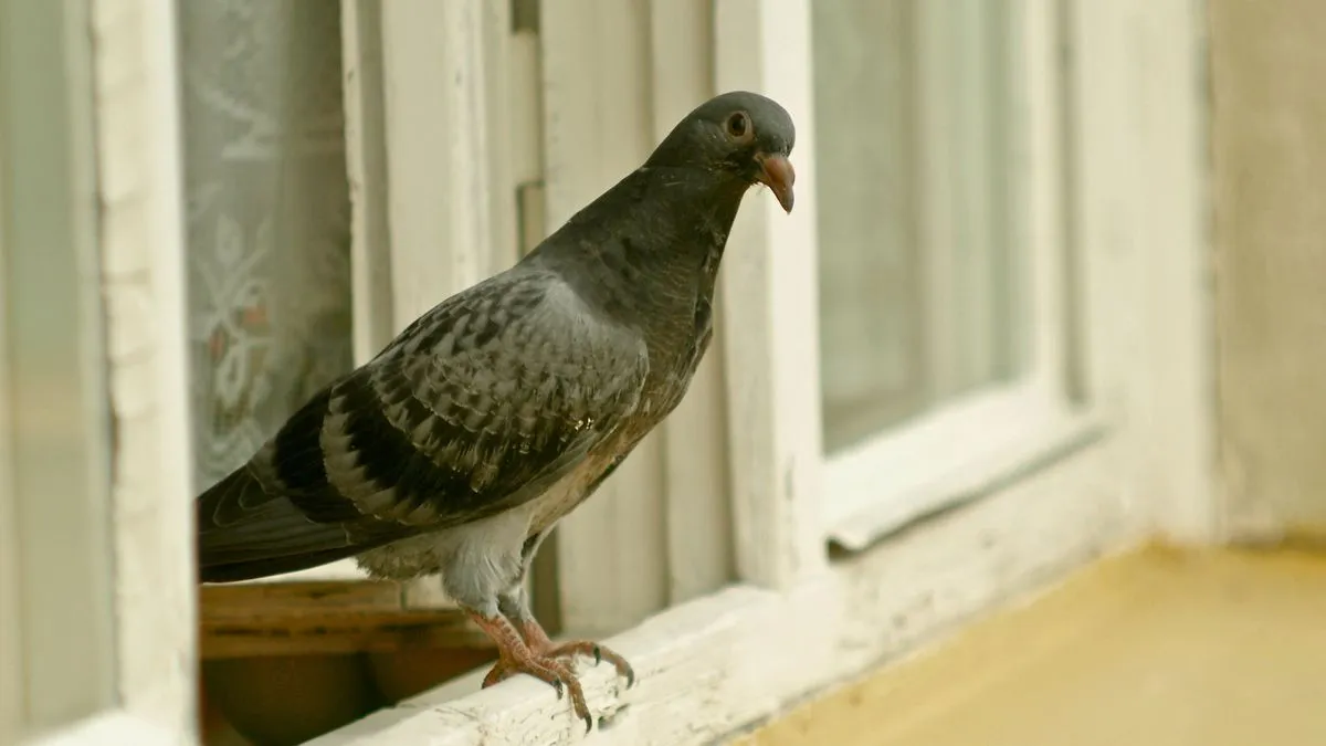 Nieuwe stappen voor lokale conversies van eenheden in Nederland