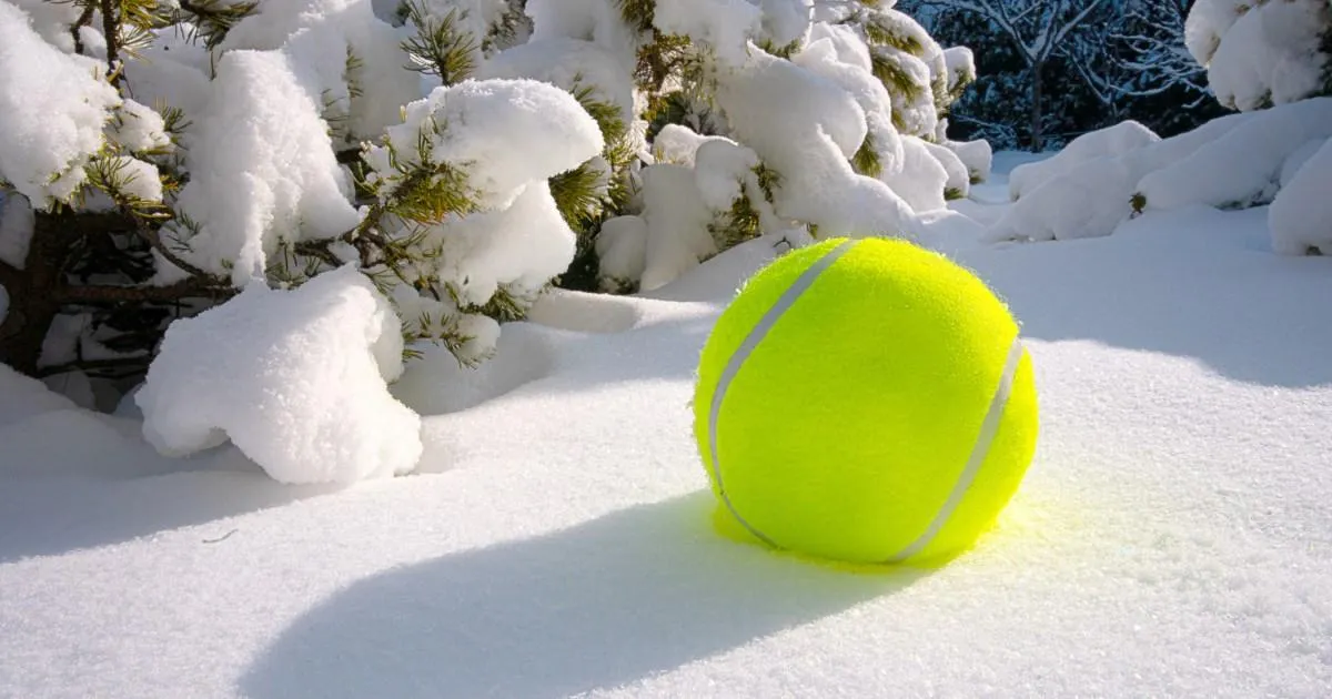Slimme reistip: gebruik een tennisbal voor meer comfort tijdens lange reizen