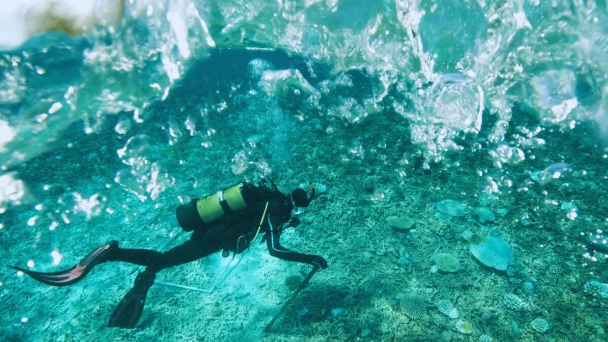 Herleving van de vuurtoren van Alexandrië: een antiek wonder komt weer tot leven